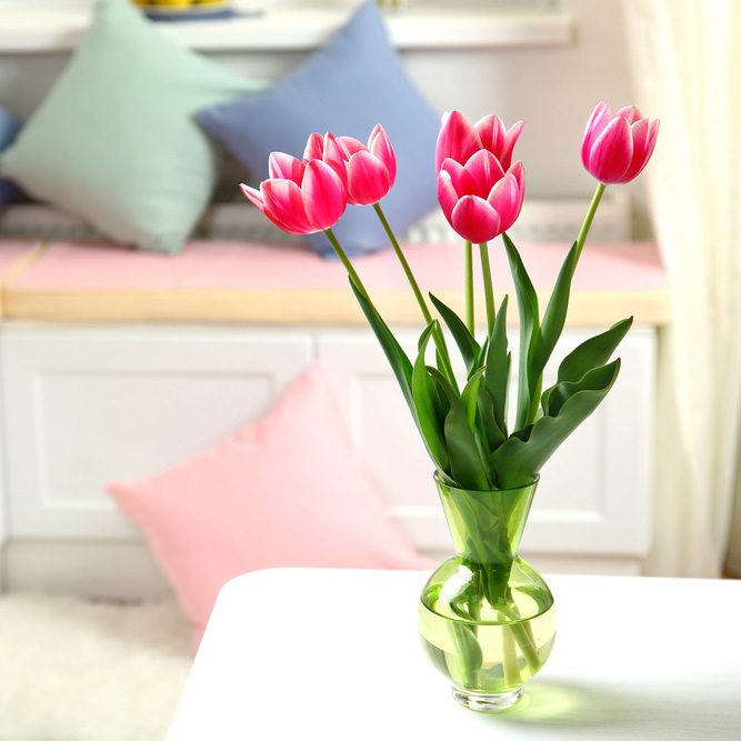 Beautiful red tulips on a clean table.
