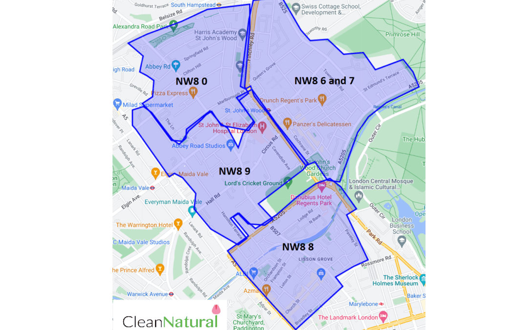 Cleaner NW8 St John’s Wood